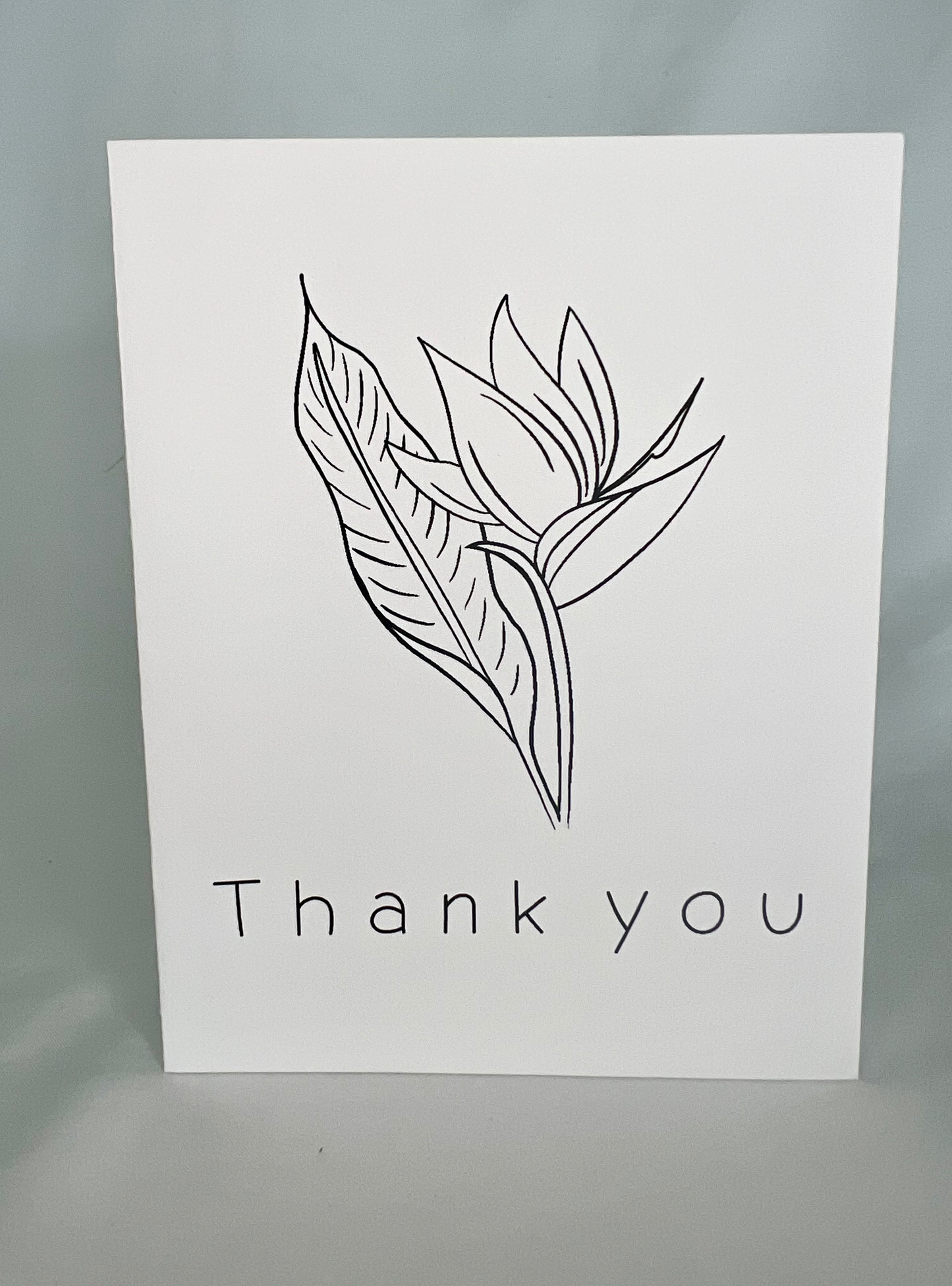 'Thank You' Card Bundle