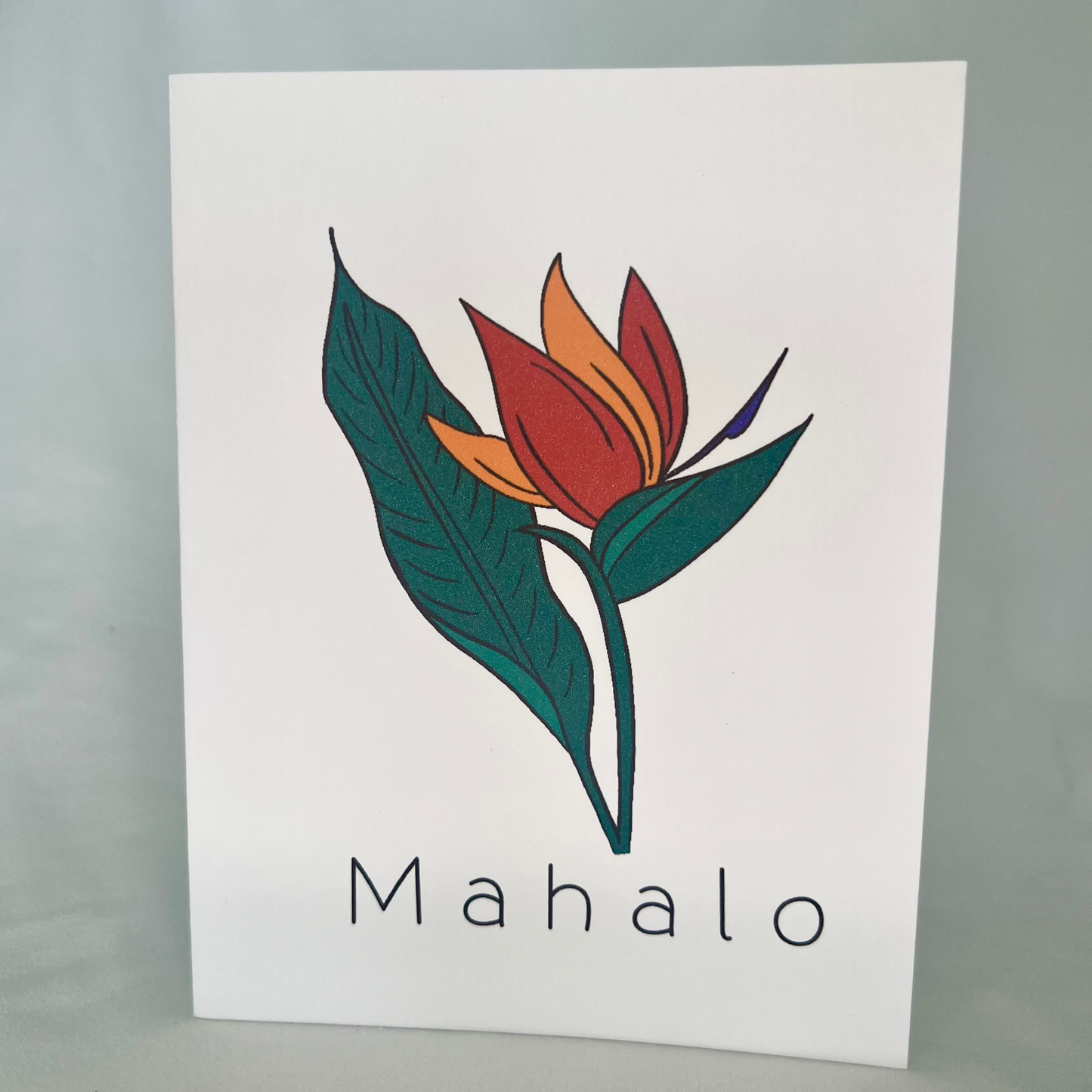 Sunset Bird of Paradise 'Mahalo' Card