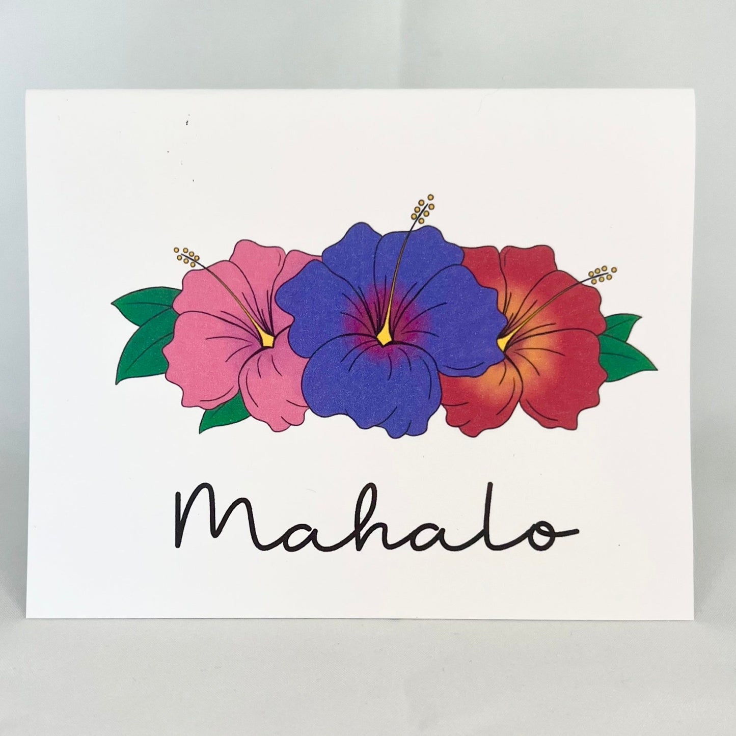 Hibiscus Mahalo - Purple Sunset