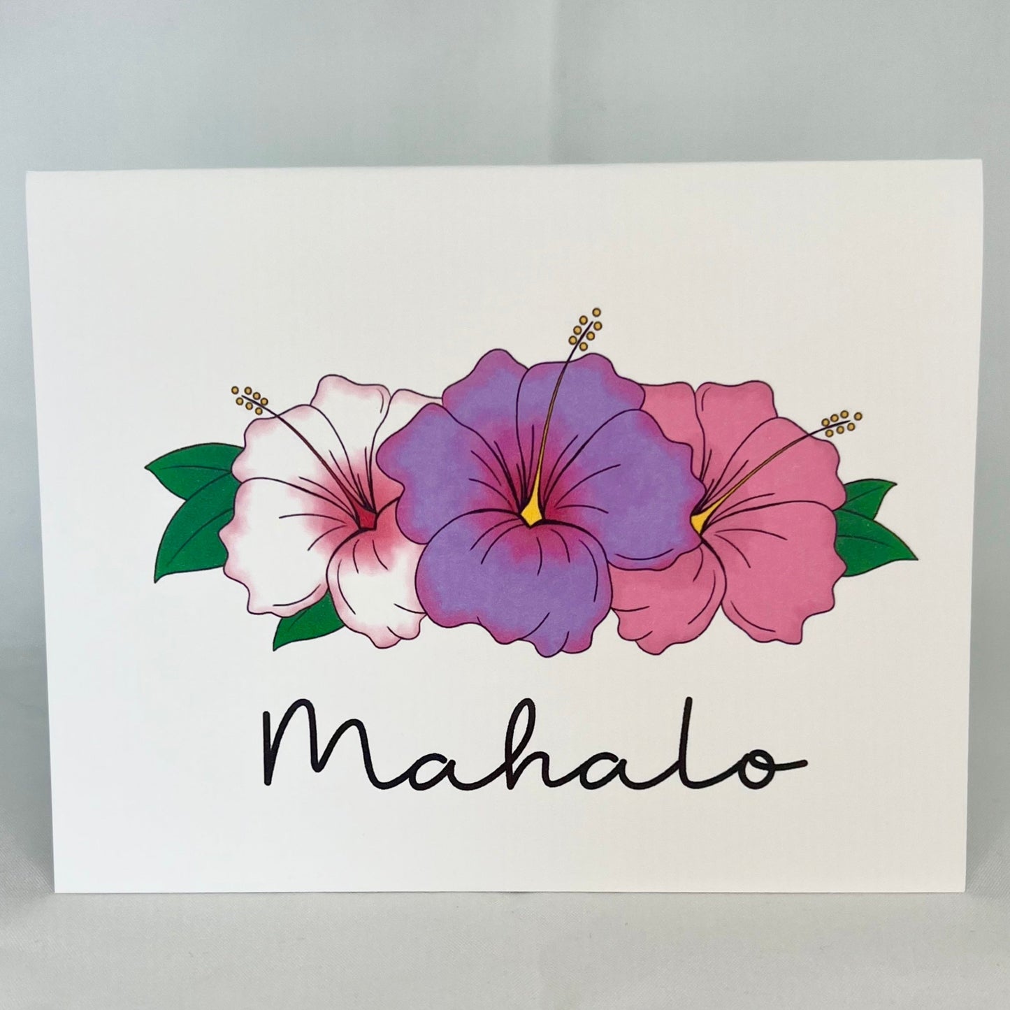 Hibiscus Mahalo - Lavender Sunset