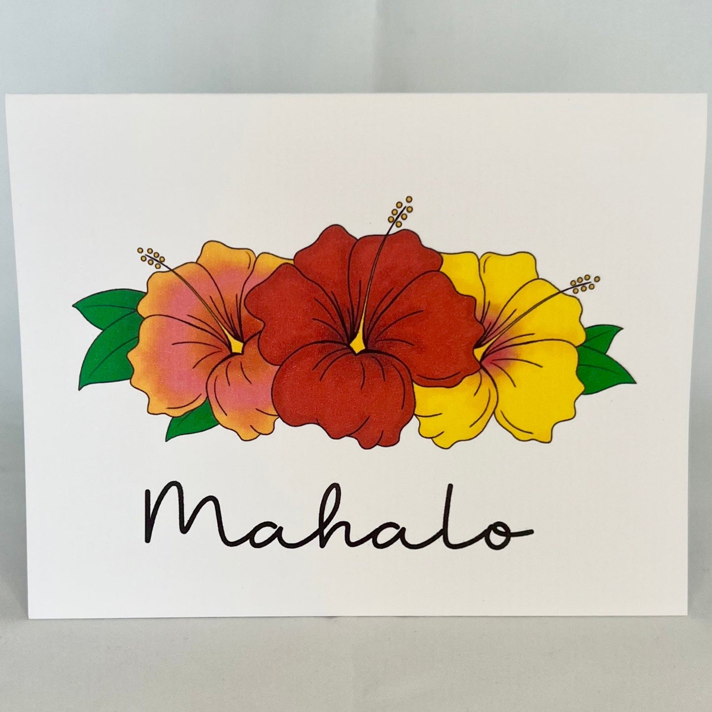 Hibiscus Mahalo - Ruby Sunrise