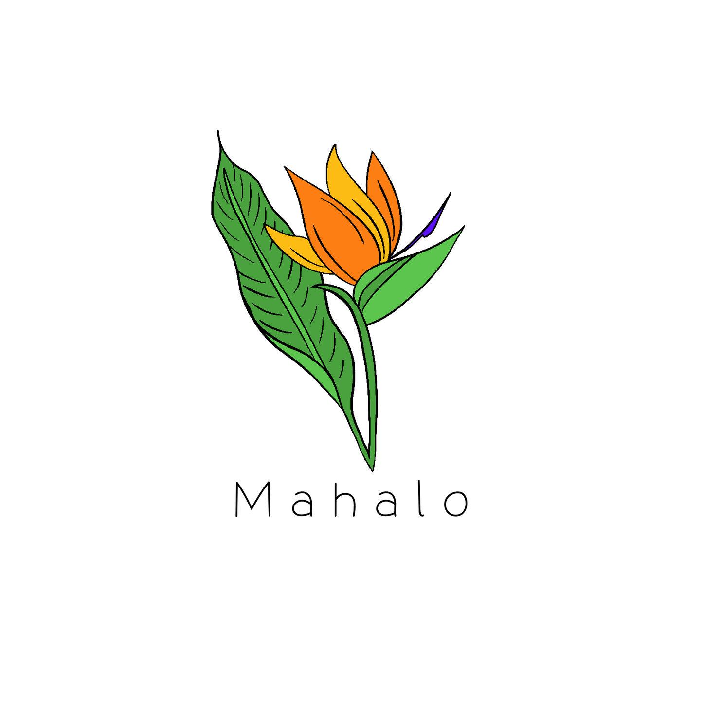 Sunrise Bird of Paradise 'Mahalo' Card