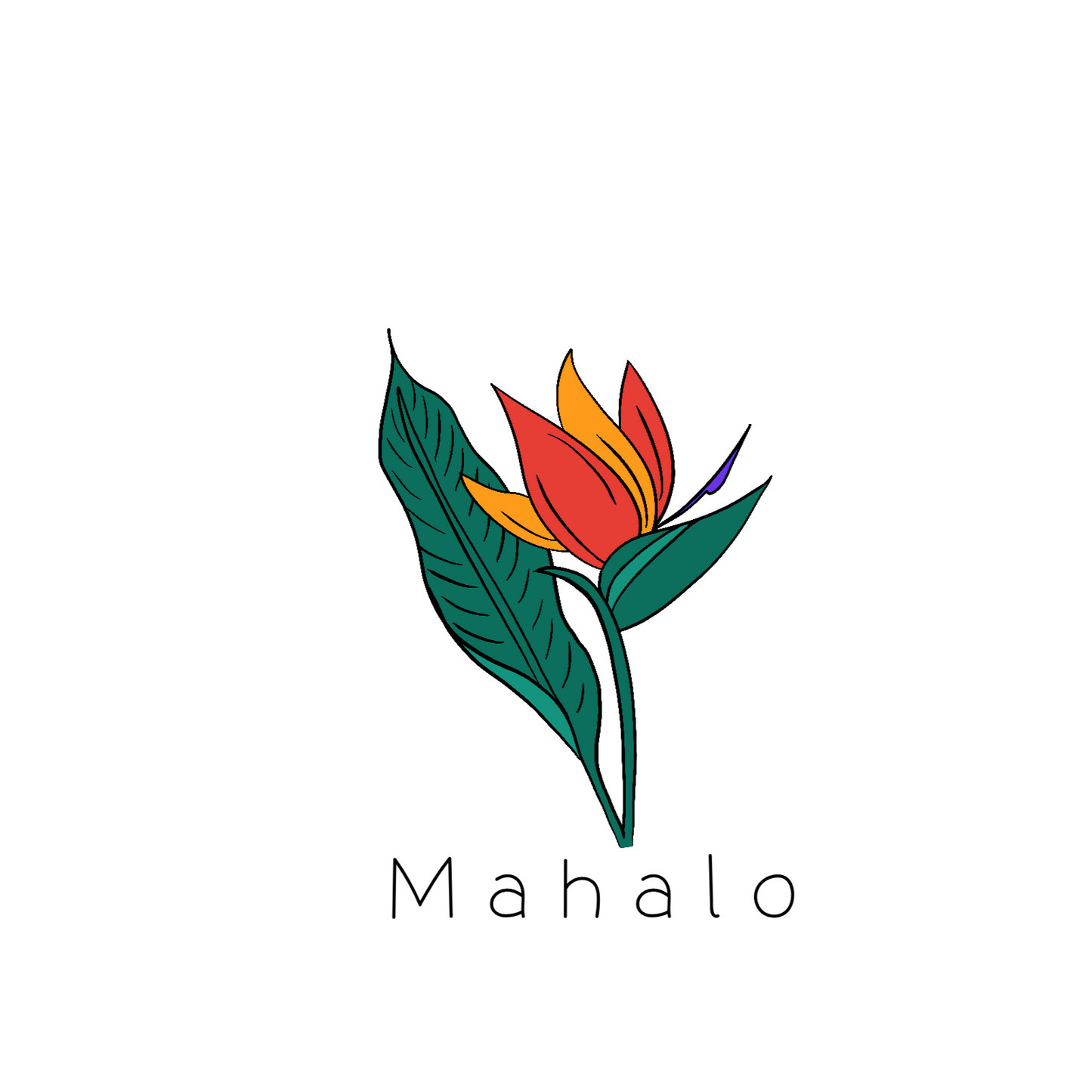 Sunset Bird of Paradise 'Mahalo' Card