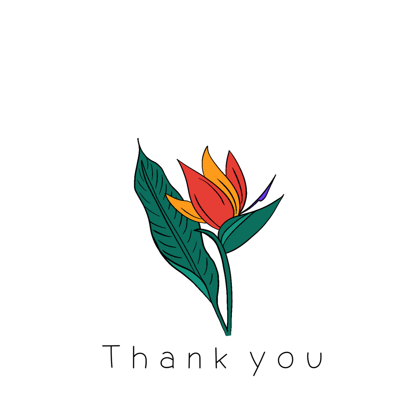 Sunset Bird of Paradise 'Thank You' Card