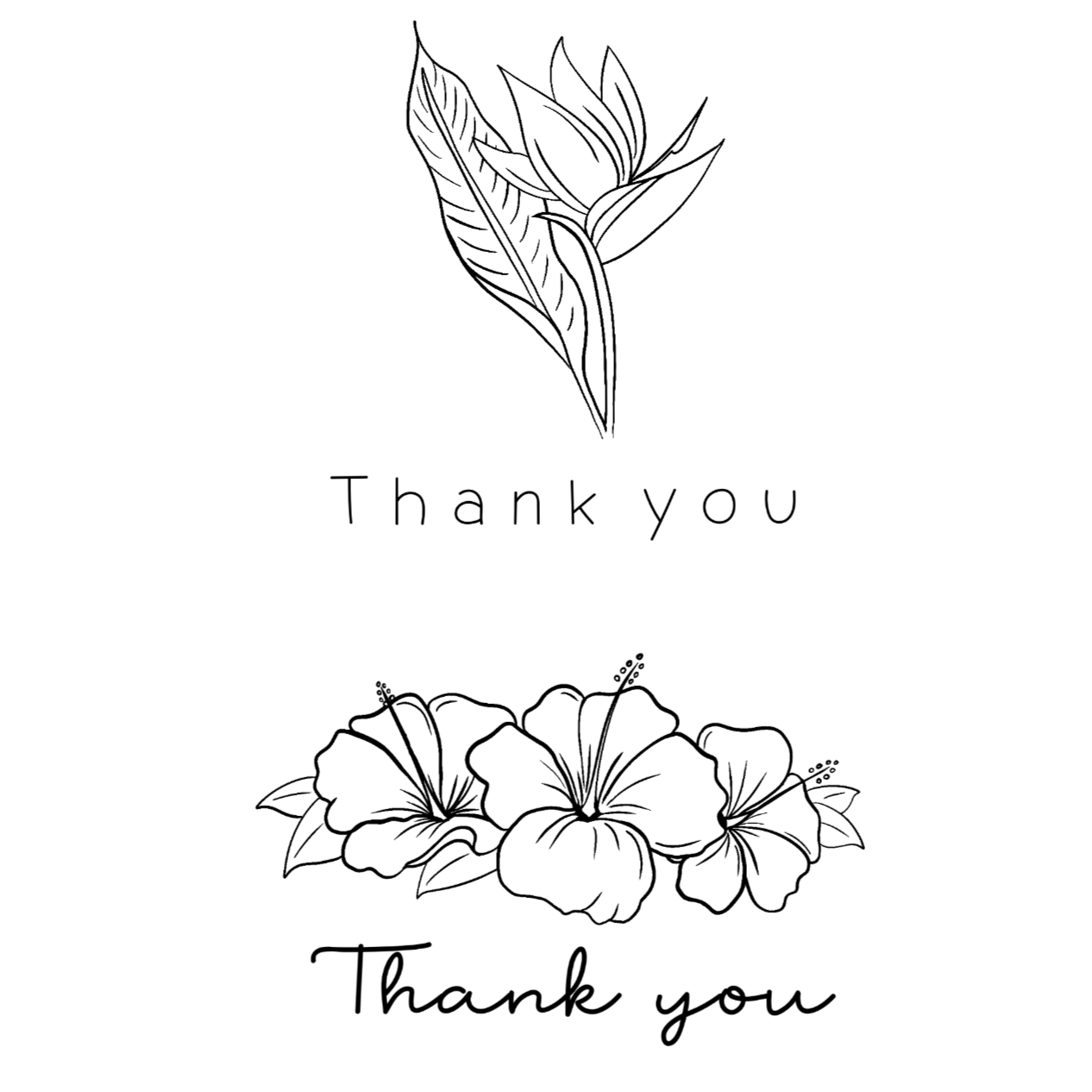 'Thank You' Card Bundle