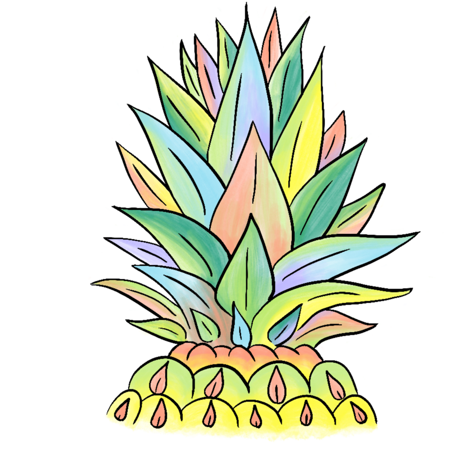 Pineapple